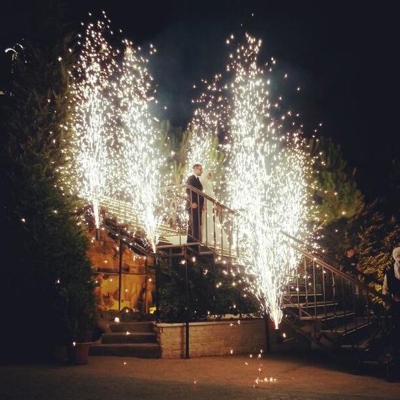 Meet your Posher, Ali - Picture 1 of 1